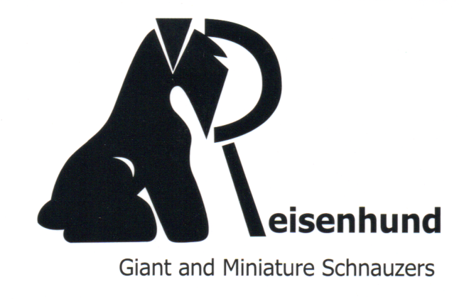 reisenhund_logo Black Schnauzers in Australia